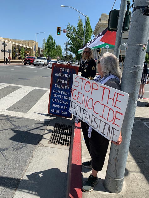 Photos of a small group of citizens holding signs on a small town streetcorner protesting the ongoing genocide in Gaza and Palestine.
