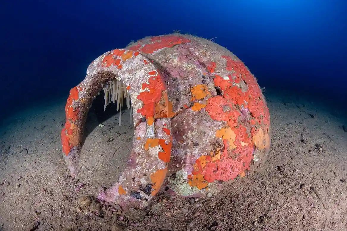 The dolium is remarkably well preserved. Credit: Soprintendenza Archeologia, Belle Arti e Paesaggio per le province di Pisa e Livorno The dolium is remarkably well preserved. Credit: Soprintendenza Archeologia, Belle Arti e Paesaggio per le province di Pisa e Livorno