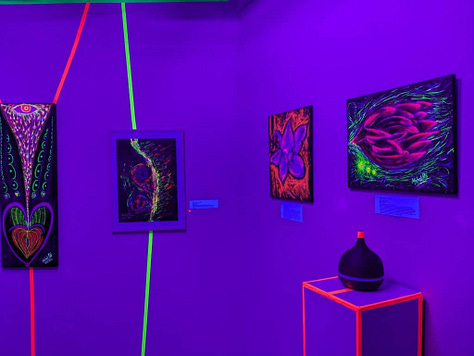 Photos from 2023 Exhibition entitled Hidden Becomes Visible by Michal Plis