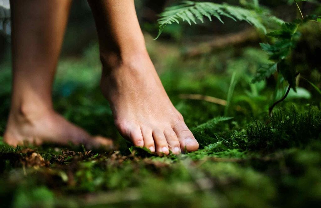 Bare feet standing on soil, symbolizing grounding and embodied presence