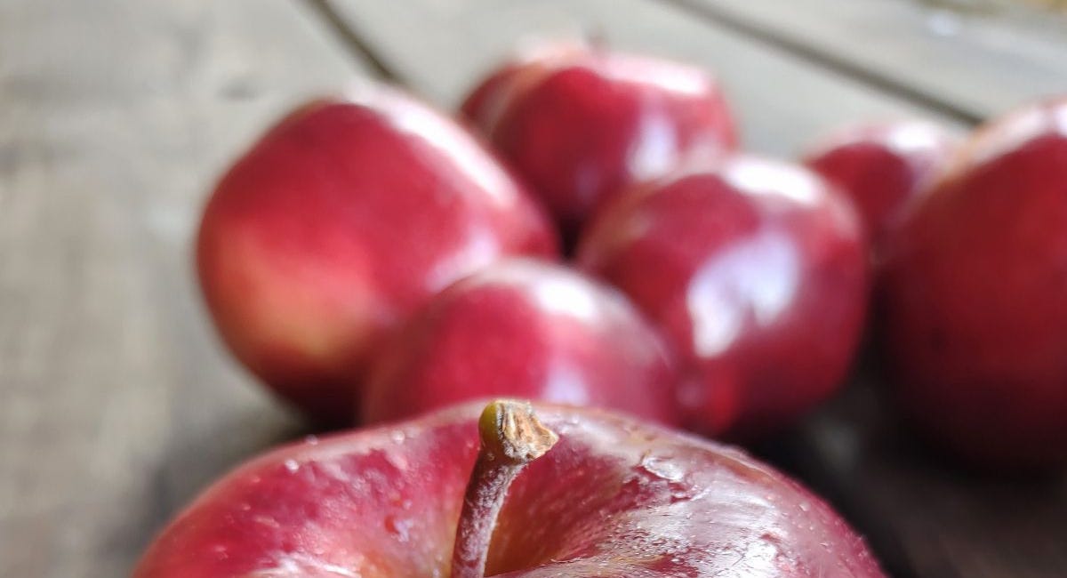 Episode 9 - Rise & Fall of Red Delicious