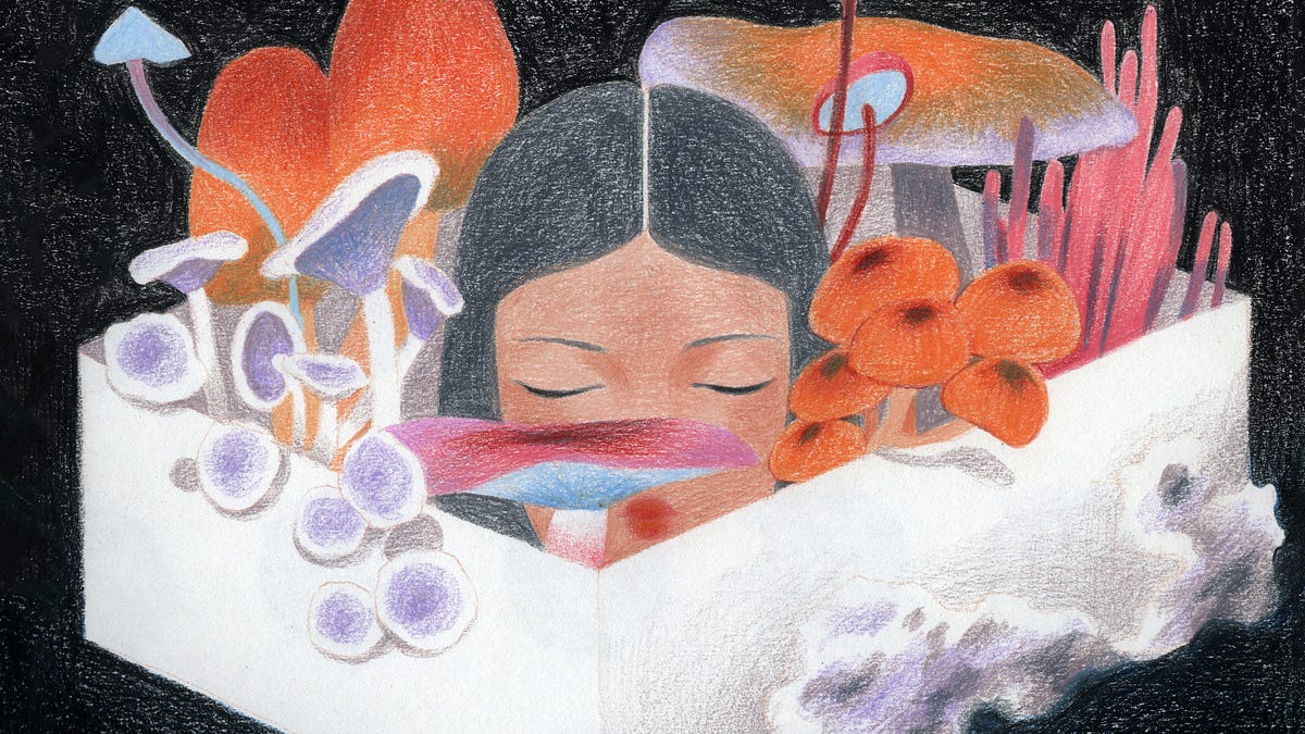 substackcdn.com image