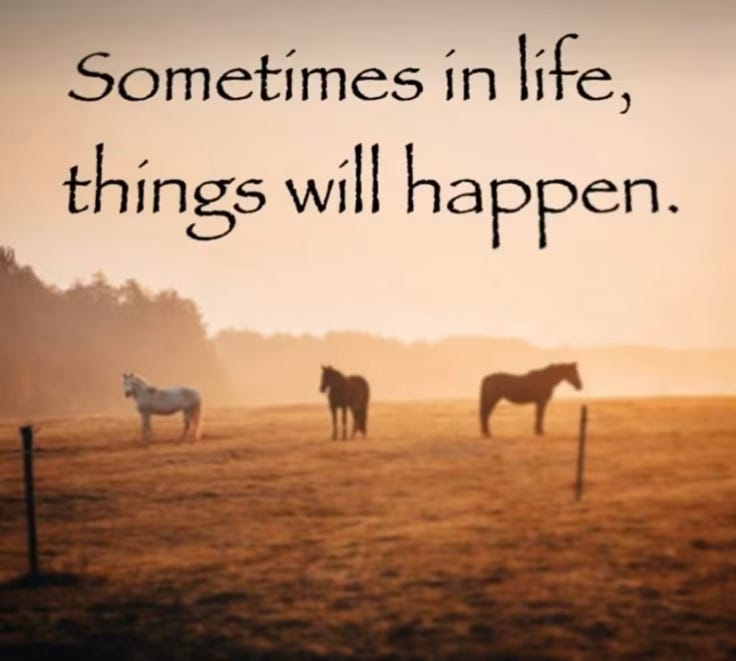 This may contain: three horses standing in a field with the words sometimes in life, things will happen
