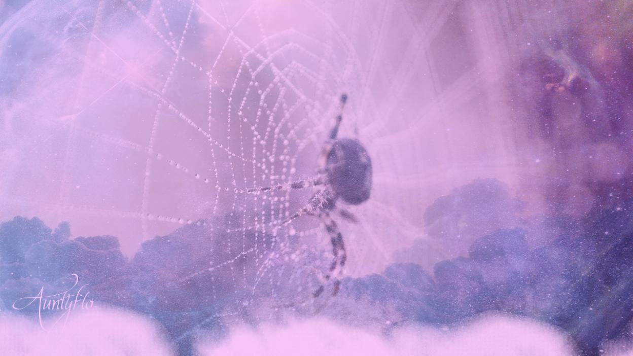 Ethereal Spiders - Astral Spiders And Scorpios - Auntyflo.com