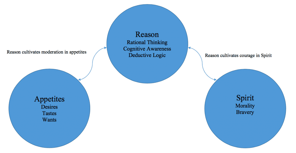 The tripartite soul and its virtues | History of Ancient Philosophy Class  Notes | Fiveable | Fiveable