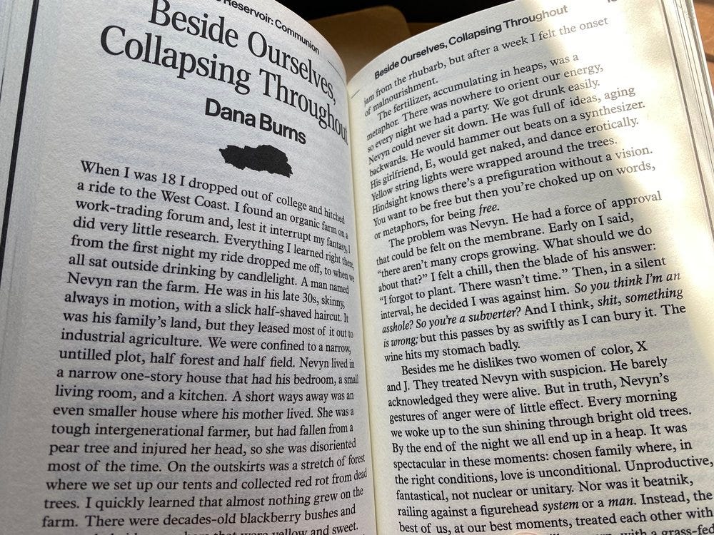 Beside Ourselves, Collapsing Throughout by Dana Burns Beside Ourselves, Collapsing Throughout by Dana Burns