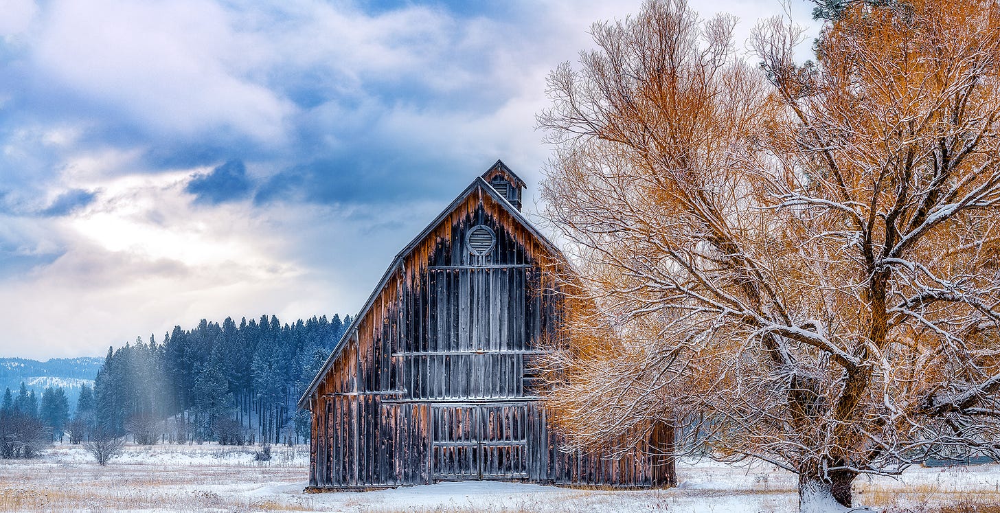An old barn with a peaked roof sits in the center of the frame while a large bare deciduous tree fills the frame to the right of it. Behind the two is a wide landscape with tall pine and fir trees in the distance and a dark colorful sky overhead. the whole scene is caked in a fine dusting of dry snow, and a little bit of sunlight peeks through the clouds. An old barn with a peaked roof sits in the center of the frame while a large bare deciduous tree fills the frame to the right of it. Behind the two is a wide landscape with tall pine and fir trees in the distance and a dark colorful sky overhead. the whole scene is caked in a fine dusting of dry snow, and a little bit of sunlight peeks through the clouds.