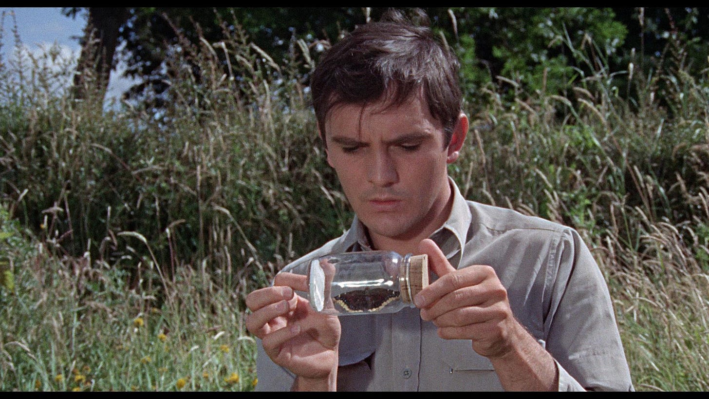 The Collector (1965) - Filmaffinity The Collector (1965) - Filmaffinity