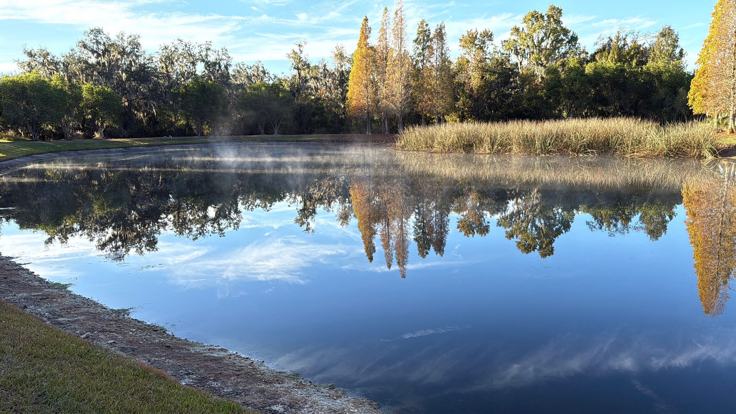 Channing Park Rd Pond — December 2025, by Author. Steam rising over placid water with cypress trees on the edge Channing Park Rd Pond — December 2025, by Author. Steam rising over placid water with cypress trees on the edge