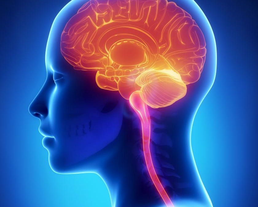 Intracranial infection cases up 60-fold since vaccines rolled out