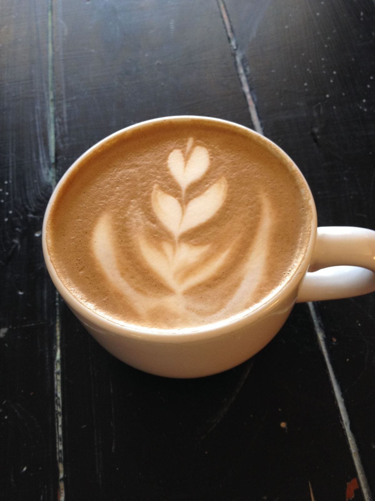 Coffee Leaf