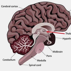 Some Thoughts on Neuralink