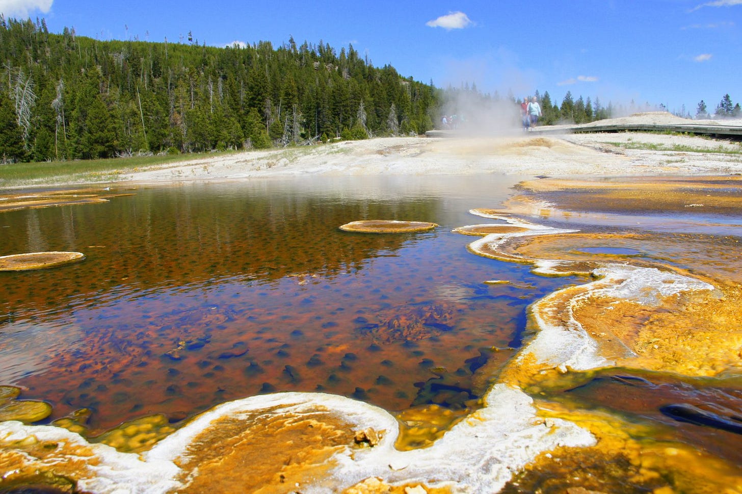 Bubbling pools of hot water and the colorful algae that live on them. Bubbling pools of hot water and the colorful algae that live on them.