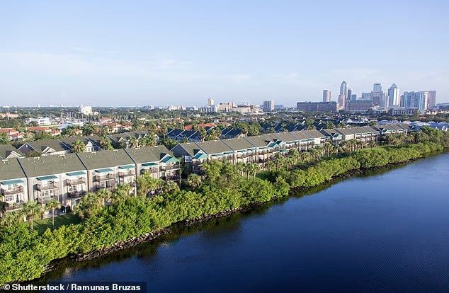 Potential condo buyers have been abandoning deals, spooked by high prices, rising homeowners association (HOA) fees and insurance costs (Pictured: a row of houses with the Tampa skyline in the background)