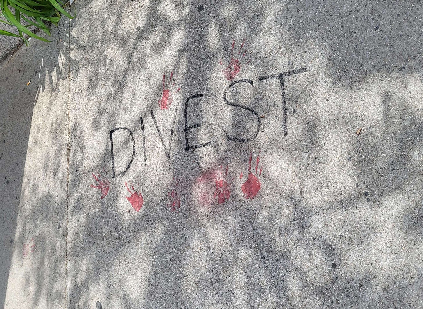 DIVEST surrounded by bloody handprints outside of harvard