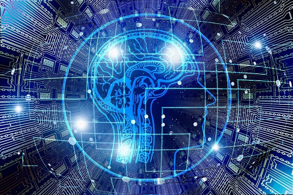 Does free will exist?