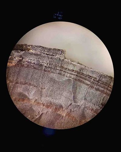 Tree rings from house in L'Anse aux Meadows - (Photo by Petra Doeve, The New York Times.)