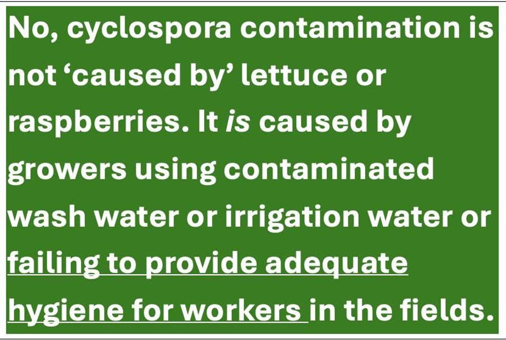 May be an image of text that says 'No, cyclospora contamination is not 'caused by' lettuce or raspberries. It is caused by growers using contaminated wash water or irrigation water or failing to provide adequate hygiene for workers_in the fields.'