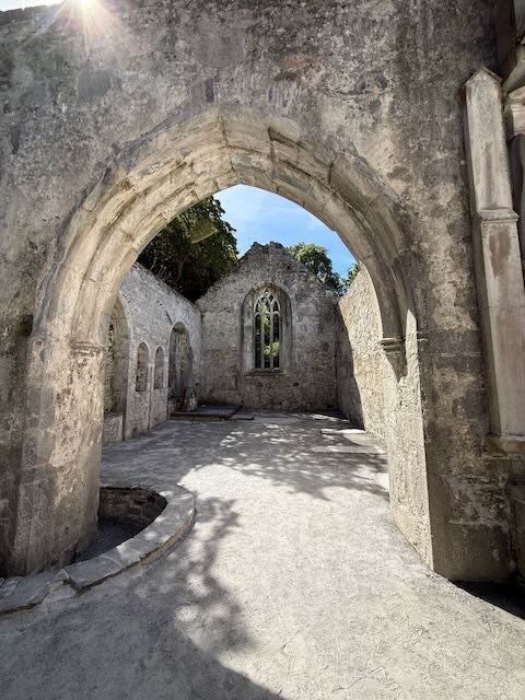 Church ruins, stone tower, Muckross Friary, An ancient yew tree holds court at the friary