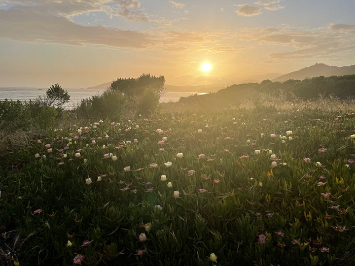 Shell Beach at Sunset