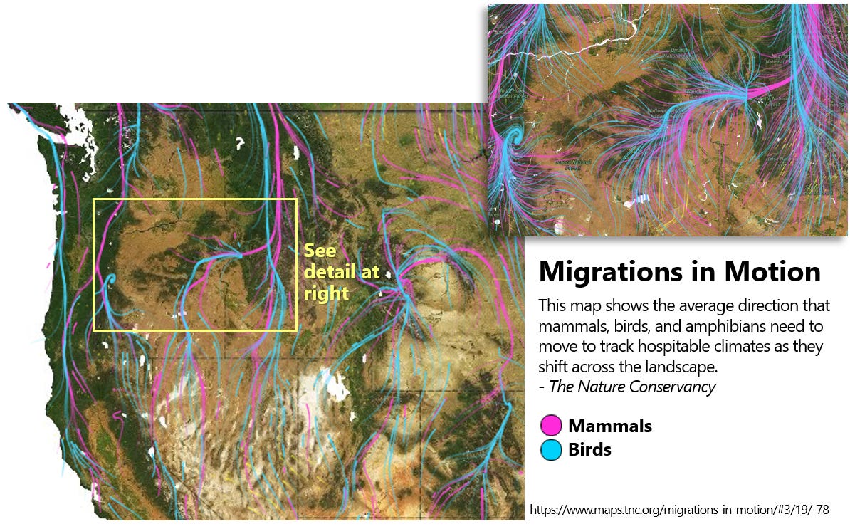 A map of the steppes
AI-generated content may be incorrect. A map of the steppes
AI-generated content may be incorrect.