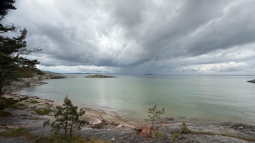 A body of water with trees and rocks

AI-generated content may be incorrect.