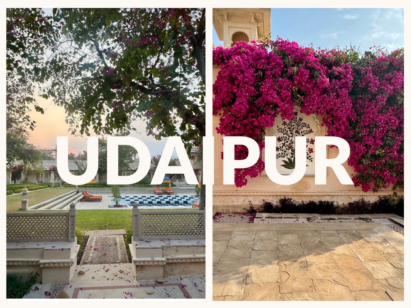 Two photos labeled “UDAIPUR,” one showing a garden/courtyard view and one showing a wall covered in bright pink bougainvillea.