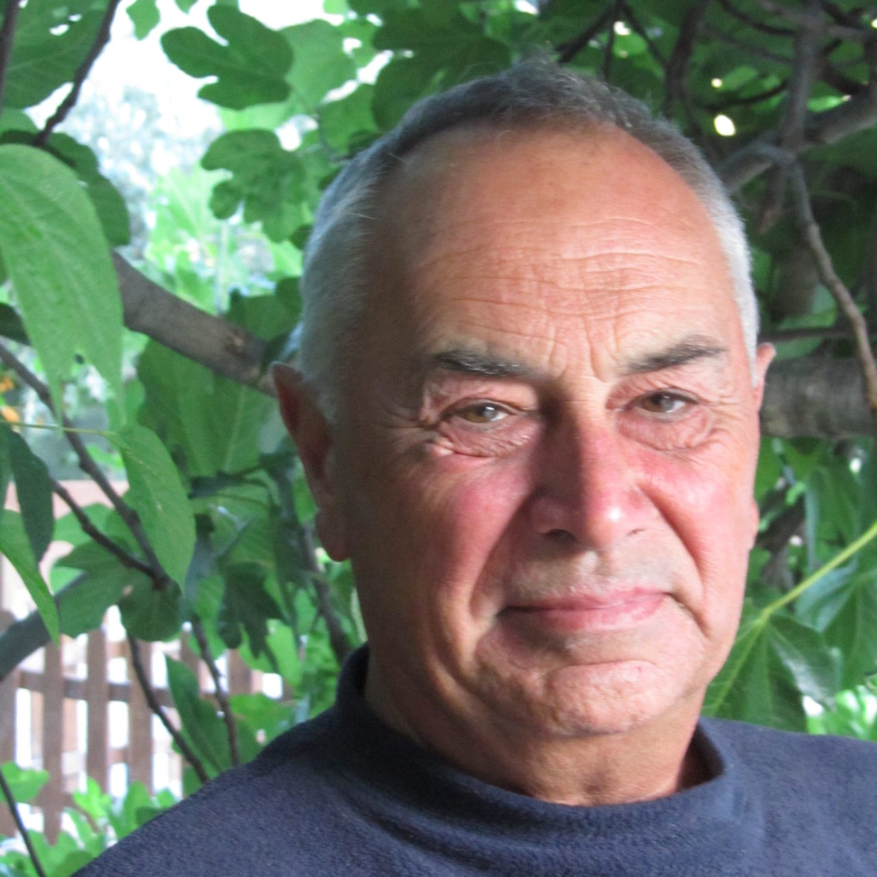 Robert’s Newsletter