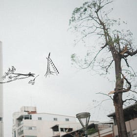 ±01 舊聞❞ 留家村:樹頂開花