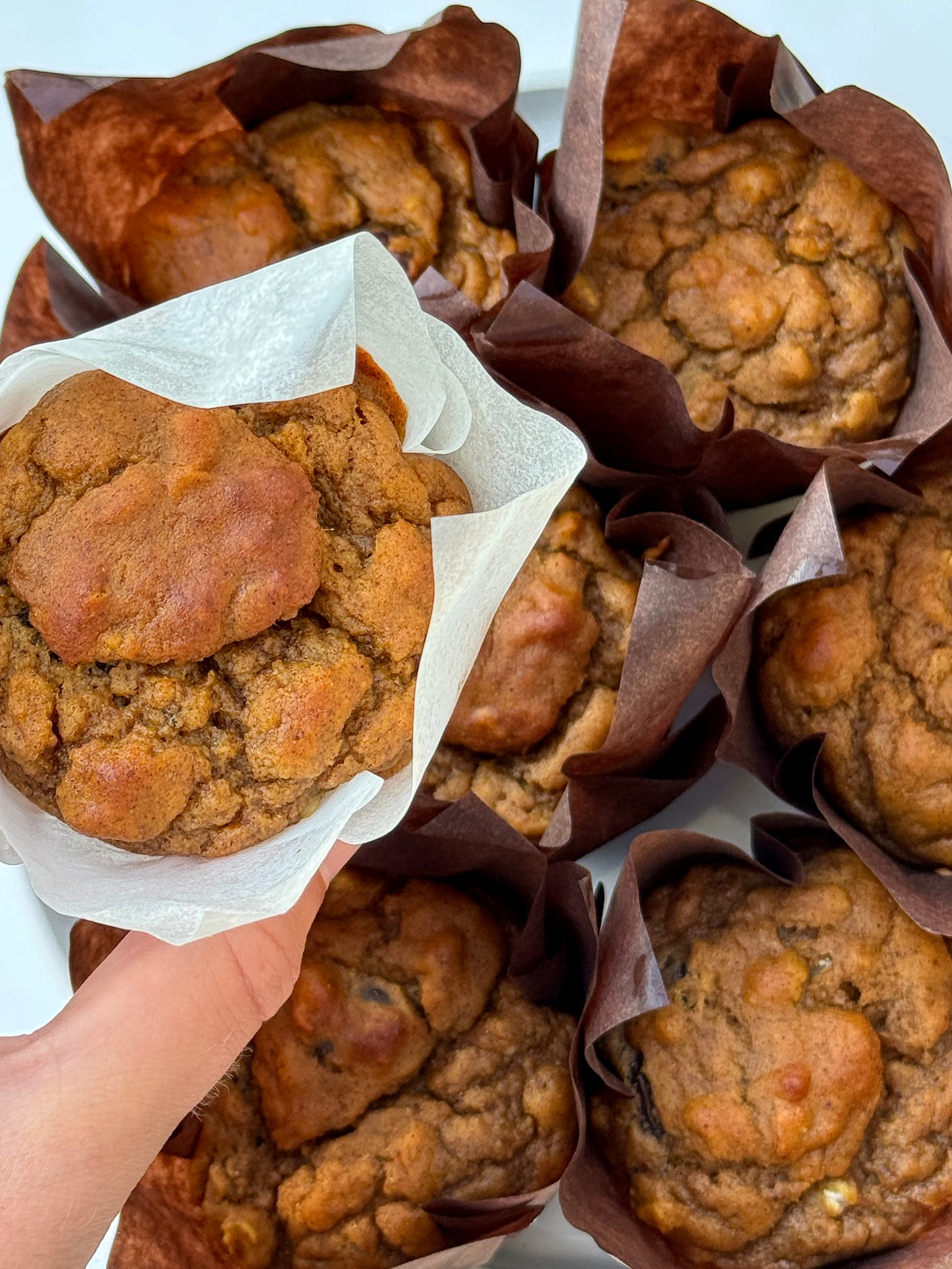 Pumpkin spice muffins