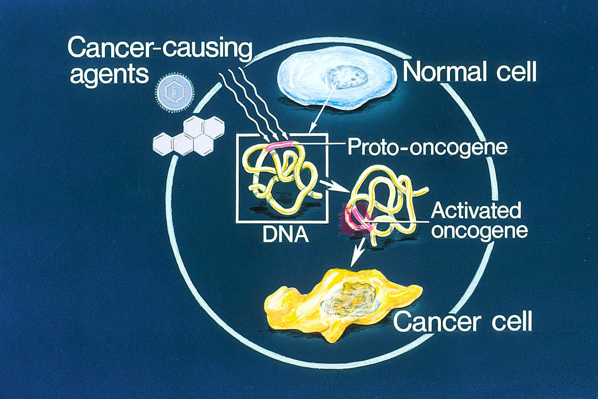Oncogene - Wikipedia