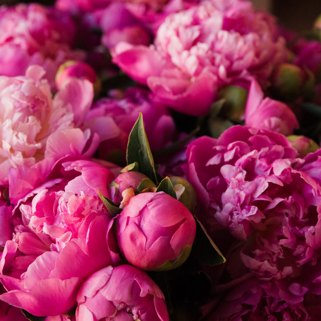 Do I Dare Disturb the Universe?