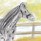 Horses with Lisa Hanawalt