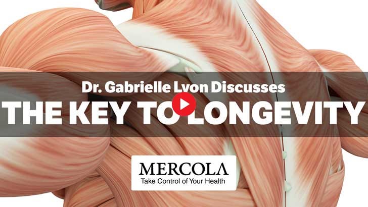 muscle mass key to longevity