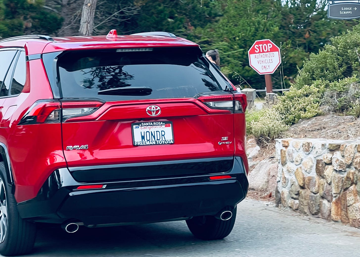 Red SUV with license plate [WONDR]