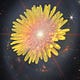 Science with Soul
