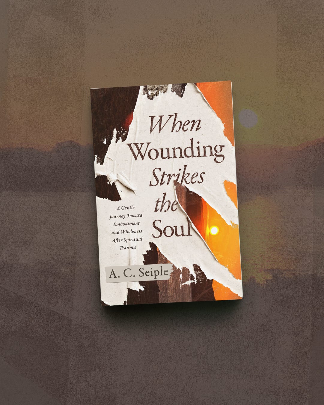 When Wounding Strikes the Soul: A Gentle Journey Toward Embodiment