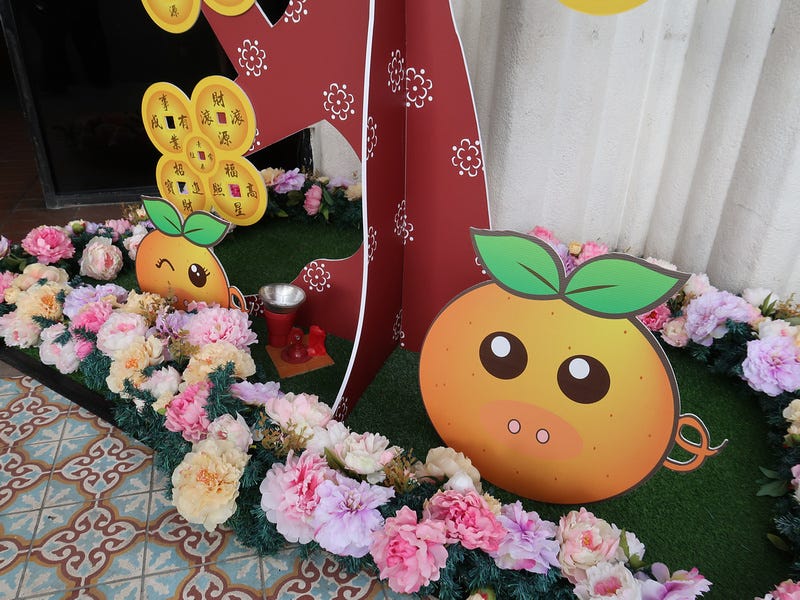 Mandarin pigs