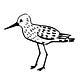 a birdy told me...
