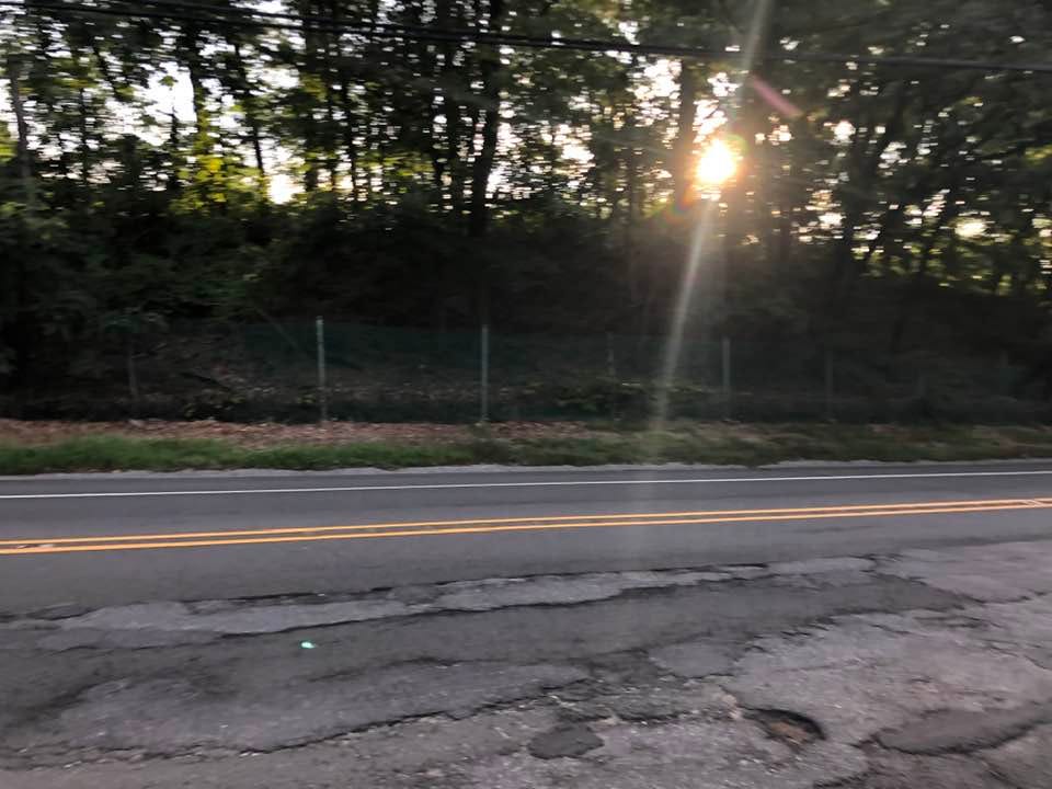 May be an image of grass, road, tree and twilight