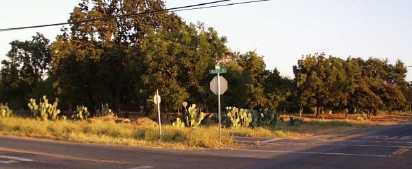 Cactus Corner - Davis - LocalWiki