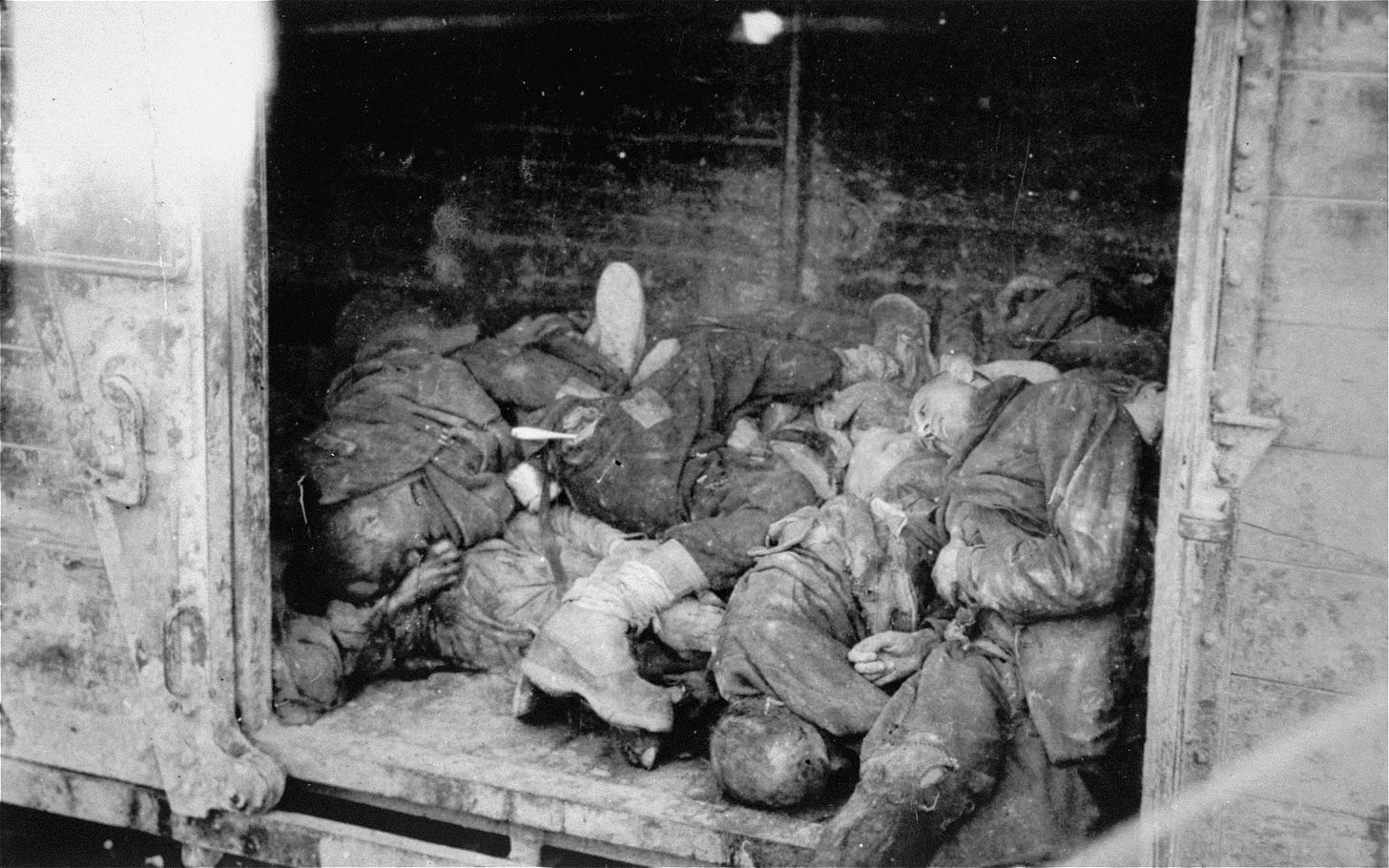 Discovering the Holocaust: An Inadvertent Coming of Age Tale 2 https%3A%2F%2Fsubstack post media.s3.amazonaws.com%2Fpublic%2Fimages%2Fccd83864 7d74 4efc a4c5 - Bucks County Beacon - Discovering the Holocaust: An Inadvertent Coming of Age Tale