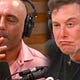 The Age Of Bullshit 