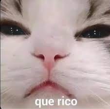 Cuando le doy el primer sorbo a mi café. - Santa tecla city ...