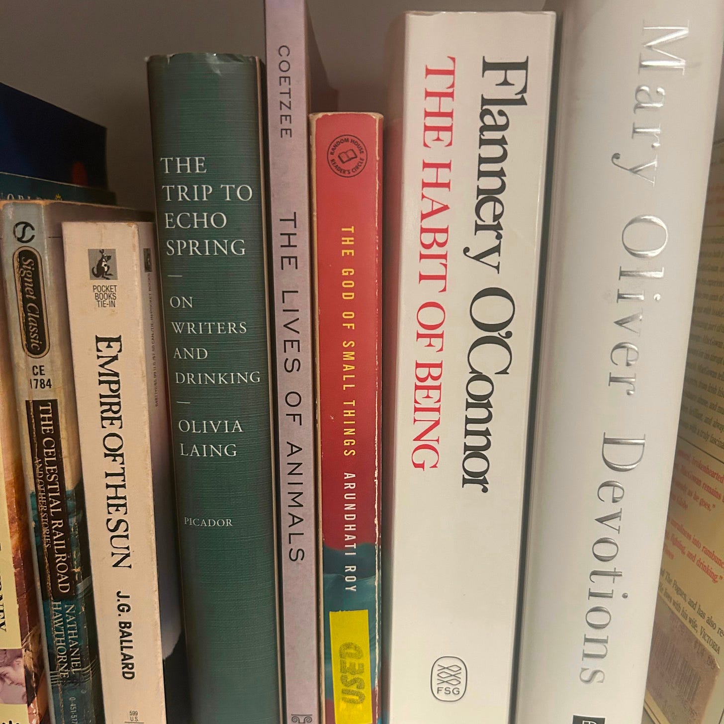 A book shelf, with Arundhati Roy's The God of Small Things in the center of a half-dozen books.