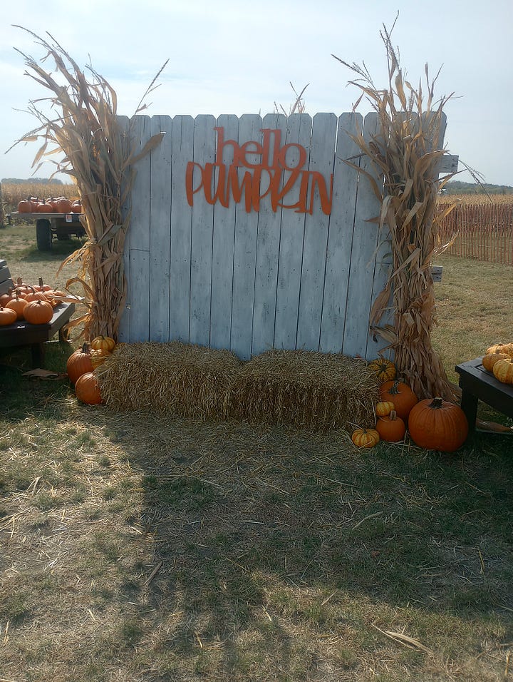 Road side stand with pumpkins