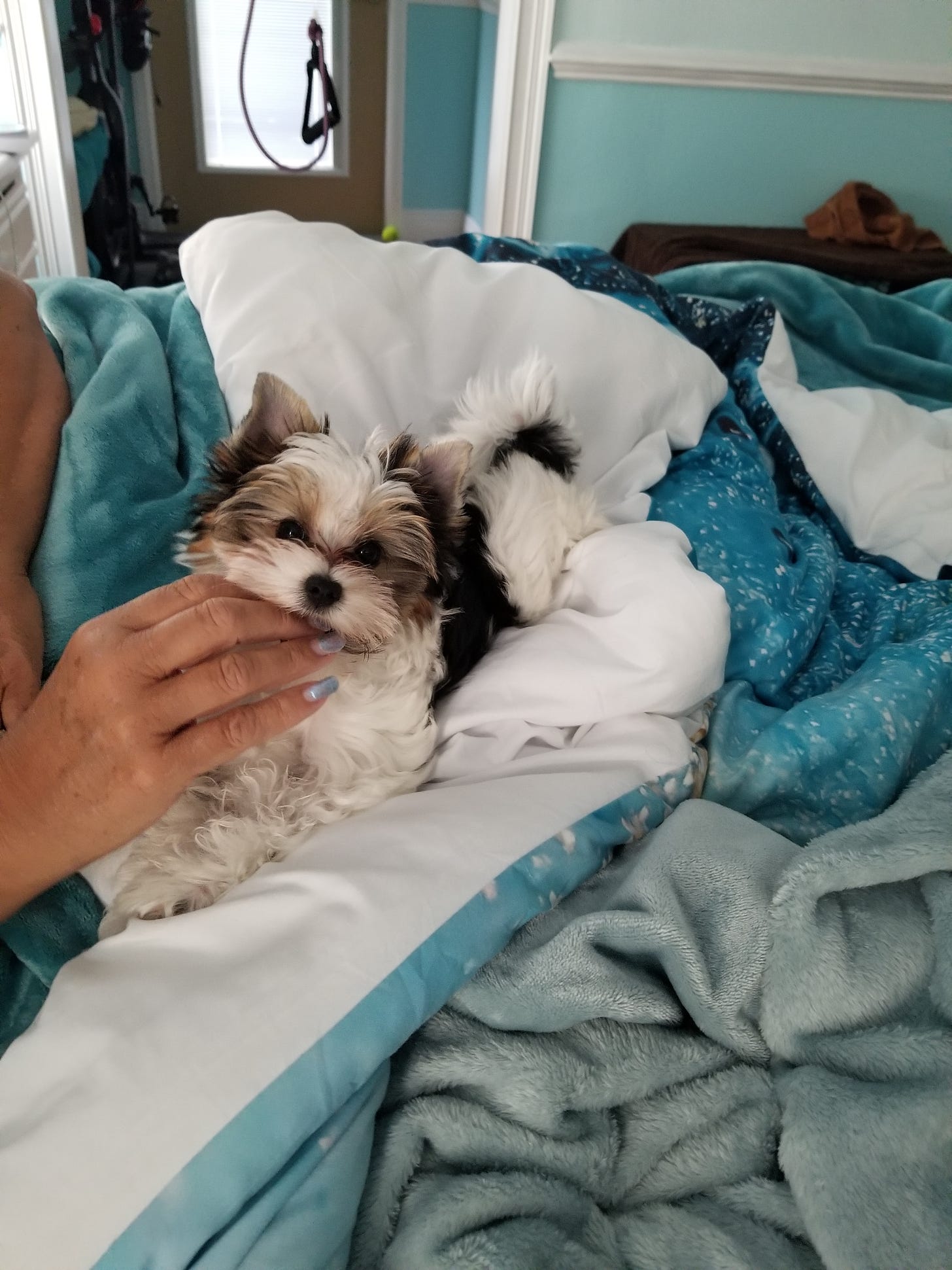 Keke chews on her human’s fingers