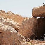 Anthropology.net