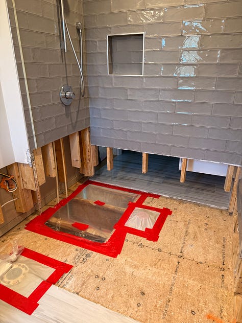 mold remediation