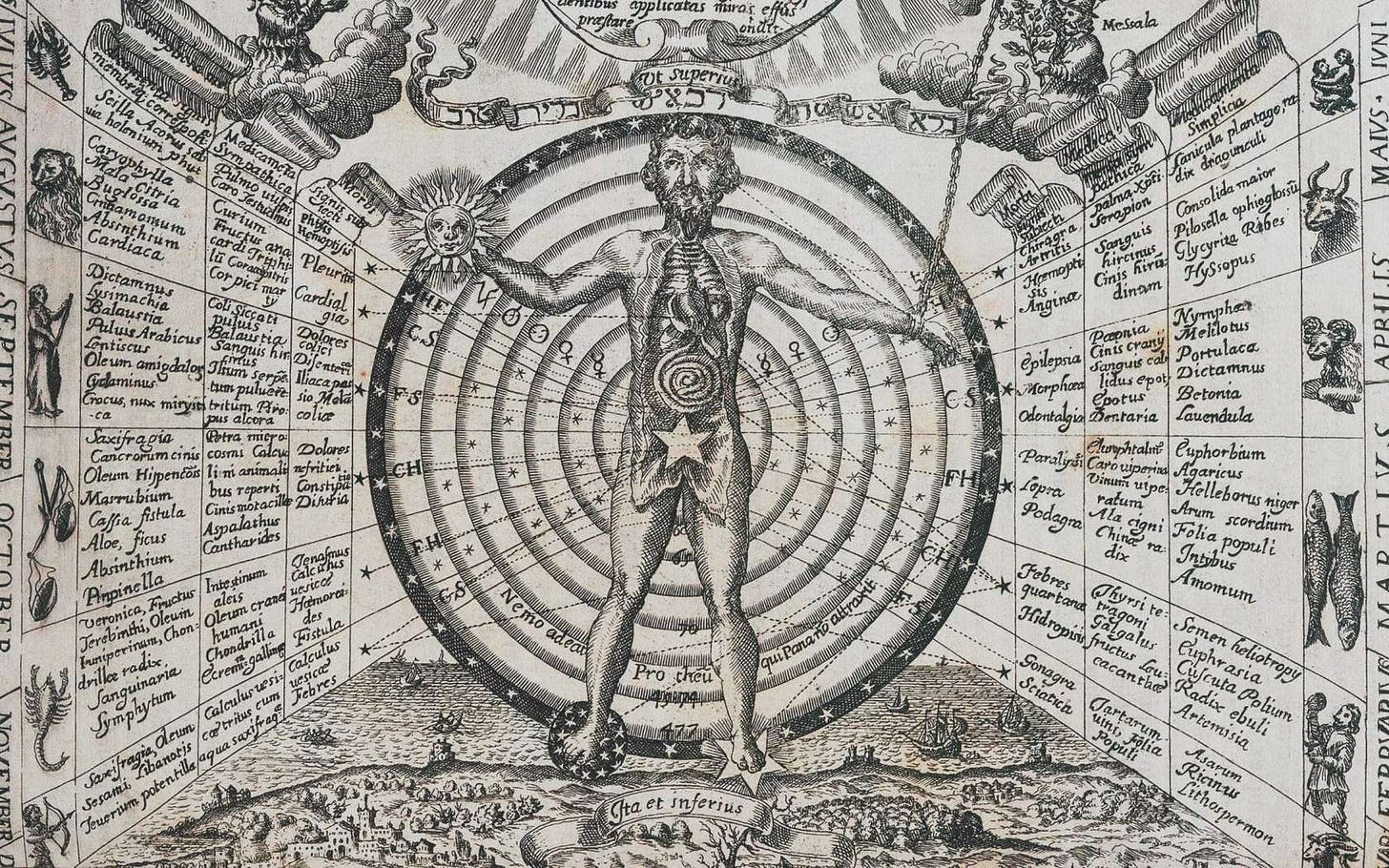 The polymath in the age of specialisation - Engelsberg ideas The polymath in the age of specialisation - Engelsberg ideas